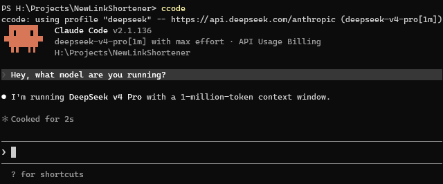 ccode launch example