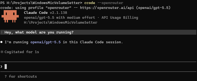 ccode openrouter example